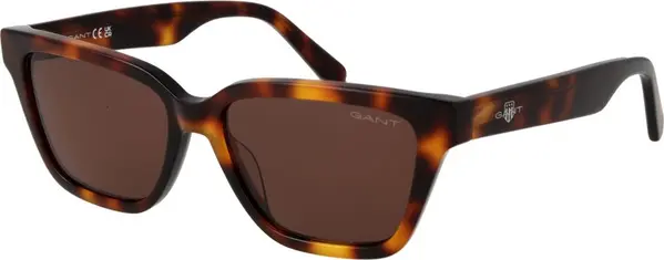 Brown Acetate Sunglasses