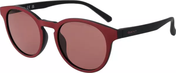 Purple Plastic Sunglasses