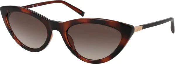 Brown Plastic Sunglasses