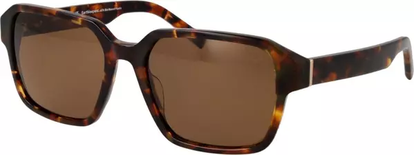 Brown Acetate Sunglasses