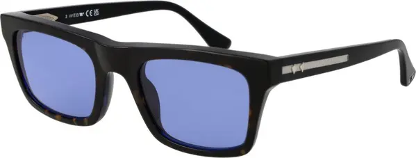 Brown Acetate Sunglasses