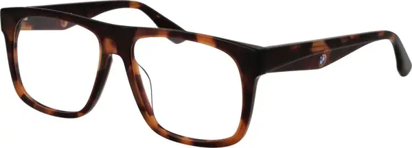 Brown Plastic Glasses (Frames)