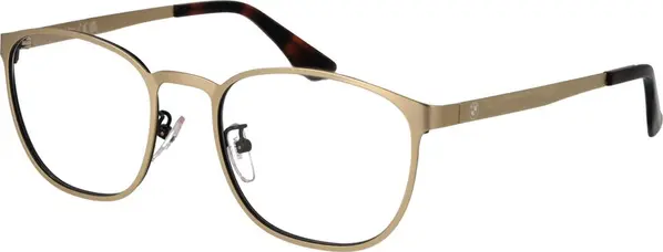 Gold Metal Glasses (Frames)