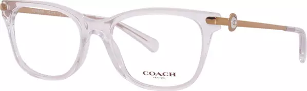 Gold Acetate Glasses (Frames)