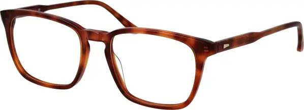 Brown Acetate Glasses (Frames)