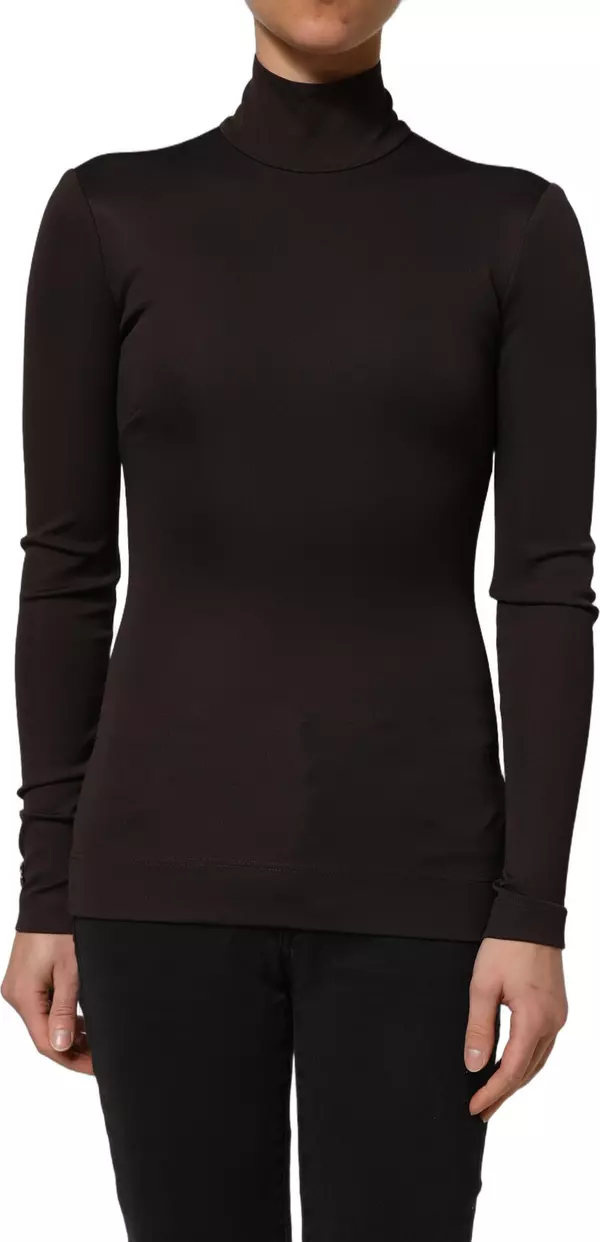 Brown Turtleneck Long Sleeves Blouse Top
