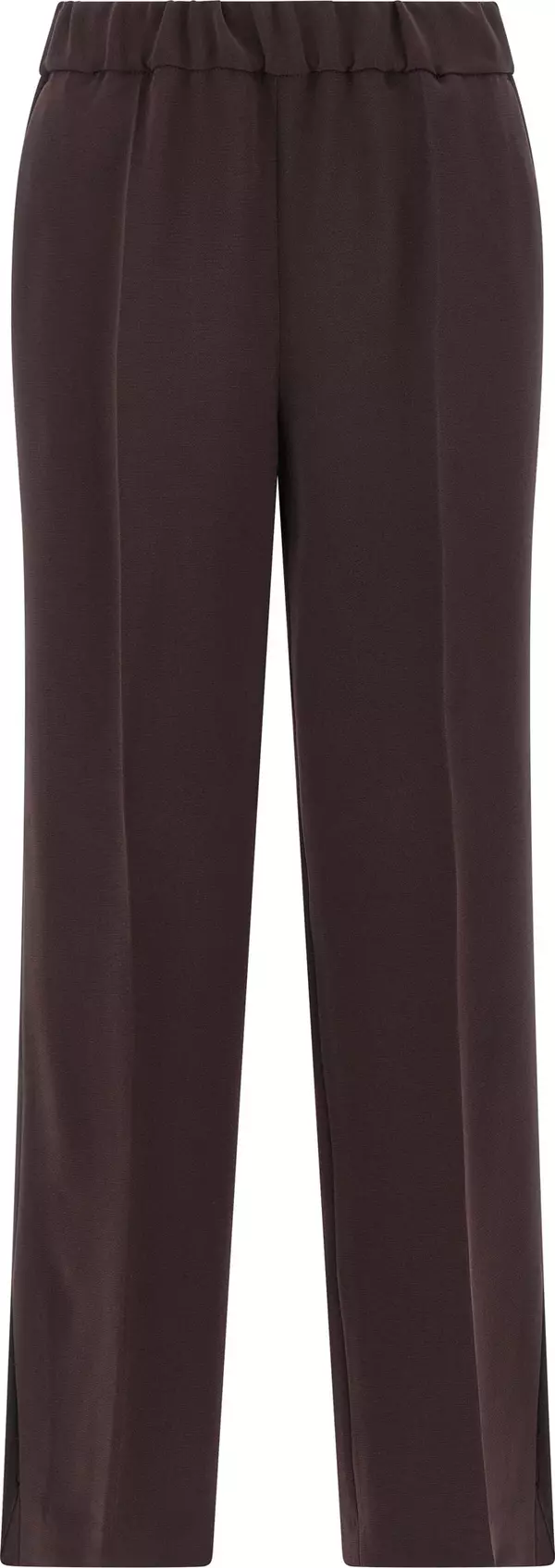 Brown Triacetate Casual Pants