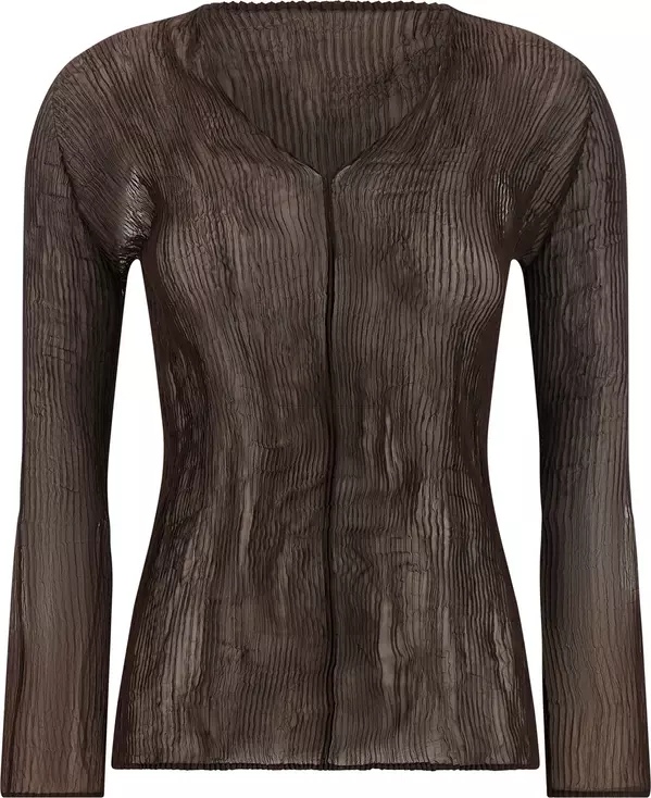 Brown Polyester Blouse