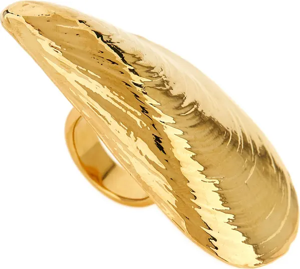 Gold Metal Ring