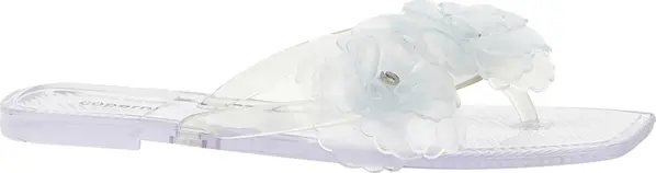 Transparent Pvc Slides