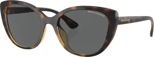 Brown Injected Sunglasses