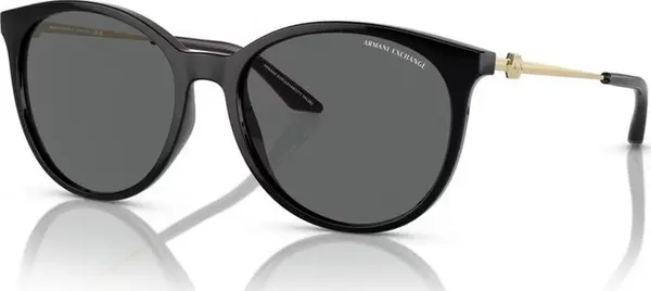 Black Injected Sunglasses