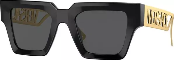 Black Acetate Sunglasses