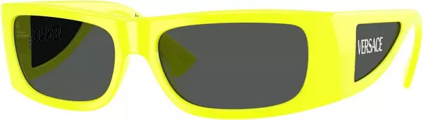 Bicolor Injected Sunglasses