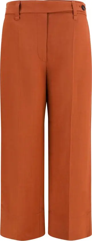 Brown Viscose Casual Pants