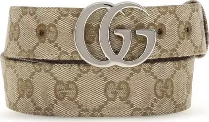 Beige Fabric Regular Belt