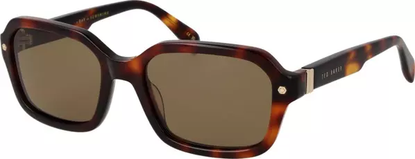 Brown Acetate Sunglasses