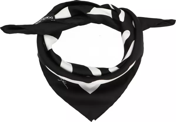 Bicolor Silk Scarf