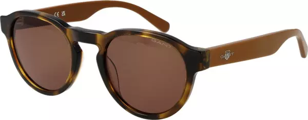 Brown Plastic Sunglasses