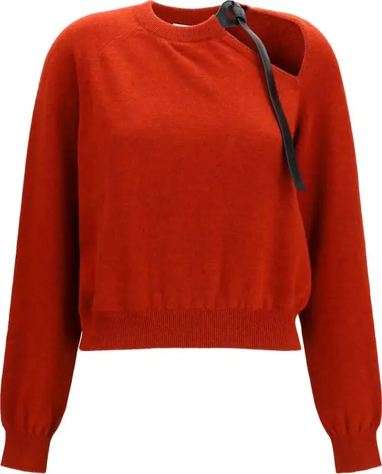 Multicolor Wool Oves Aries Sweatshirt