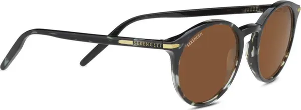 Blue Acetate Sunglasses