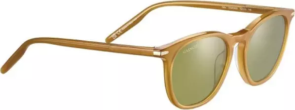 Brown Resin Sunglasses