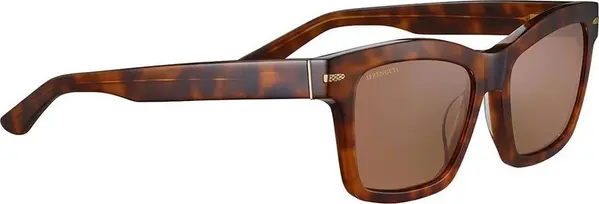 Brown Resin Sunglasses
