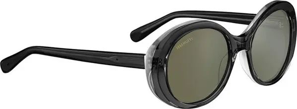 Black Plastic Sunglasses