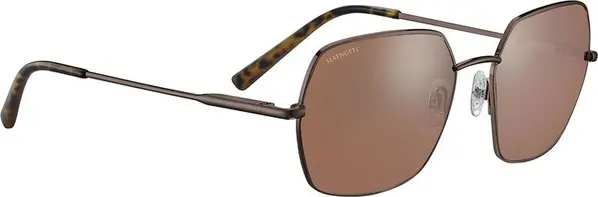 Brown Plastic Sunglasses