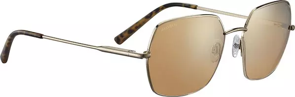 Gold Plastic Sunglasses