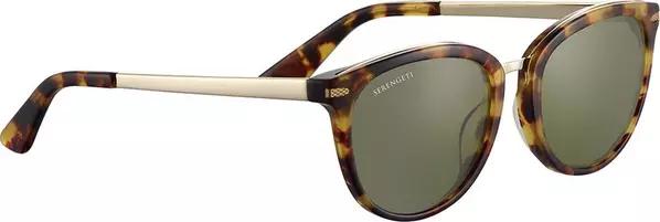 Brown Plastic Sunglasses