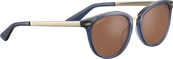 Blue Acetate Sunglasses