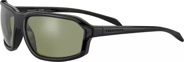 Black Resin Sunglasses