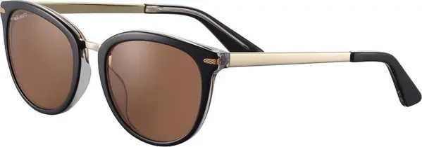 Black Plastic Sunglasses
