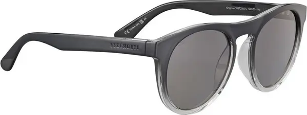 Black Resin Sunglasses