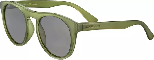 Brown Resin Sunglasses