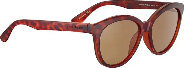 Brown Resin Sunglasses