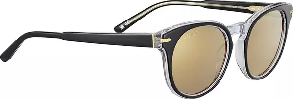 Black Resin Sunglasses