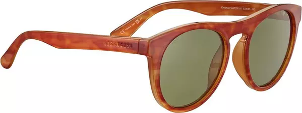 Brown Resin Sunglasses