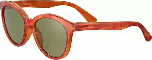 Brown Resin Sunglasses