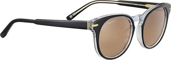 Black Resin Sunglasses