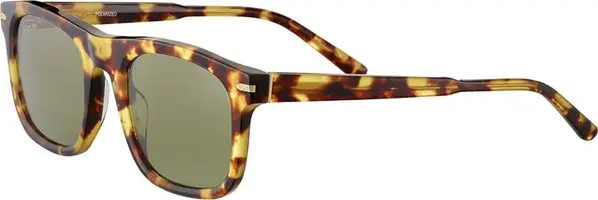 Brown Acetate Sunglasses