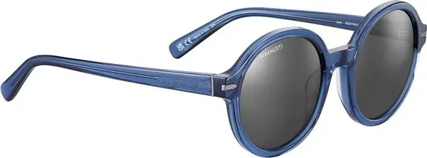 Blue Resin Sunglasses