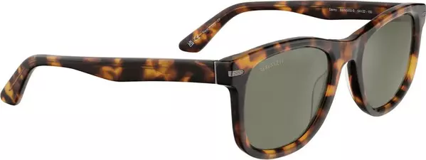 Brown Resin Sunglasses