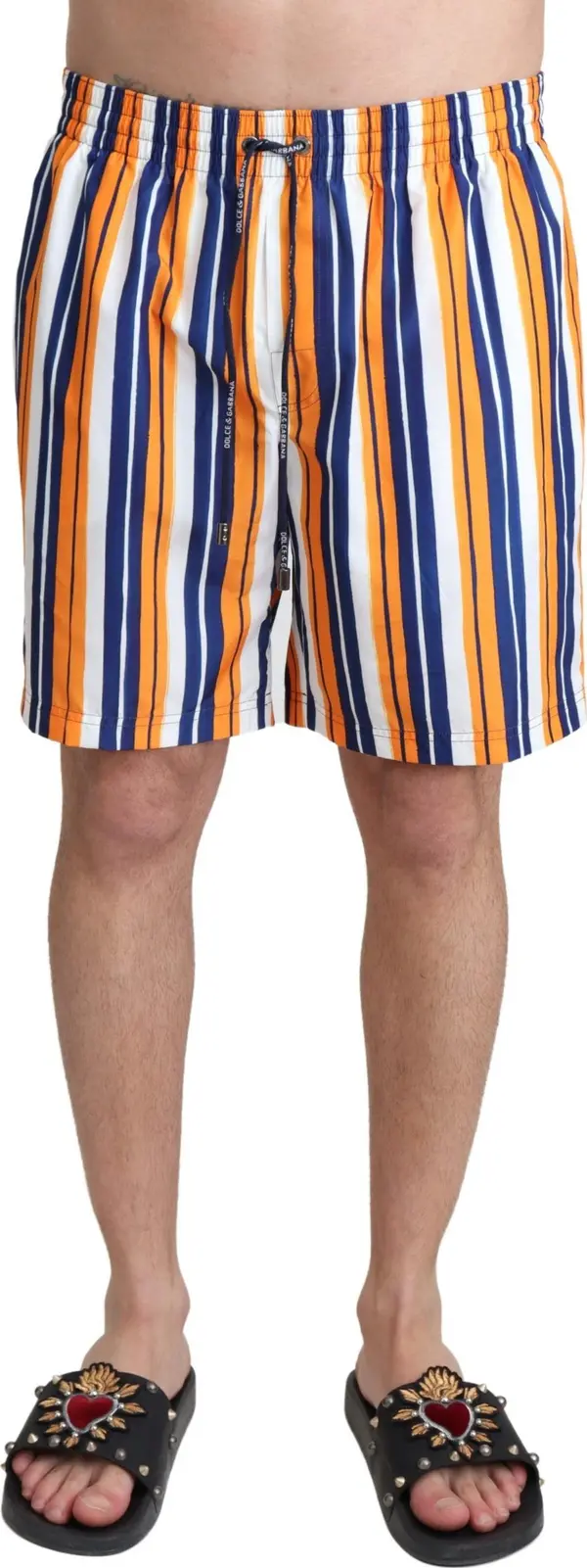 Multicolor Striped Beachwear Swimshorts