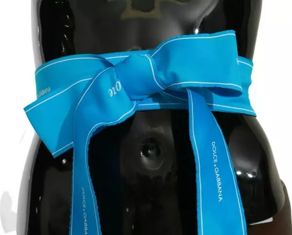 Blue Waist Ribbon Wide Bow Belt