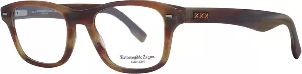 Brown Plastic Glasses (Frames)