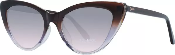 Brown Plastic Sunglasses