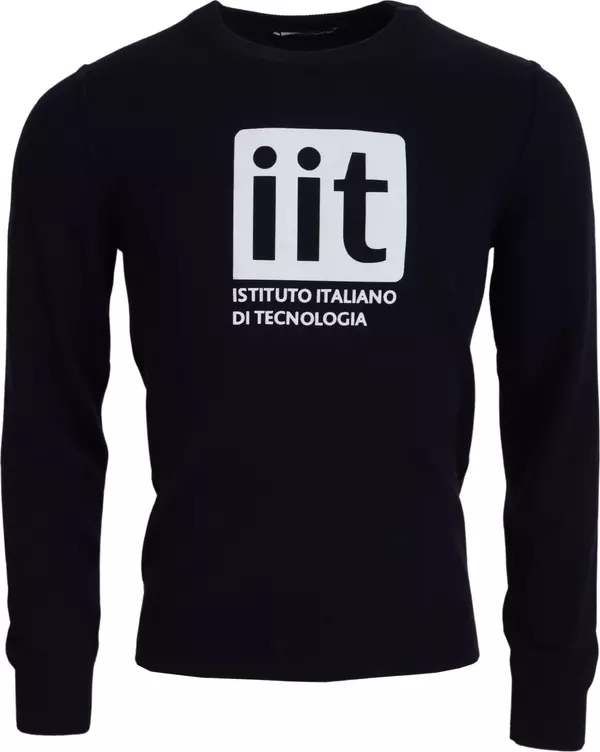 Blue Cashmere iit Print Pullover Sweater