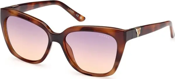 Marrone Injected Women Sunglasses